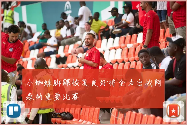 小蜘蛛脚踝恢复良好将全力出战阿森纳重要比赛